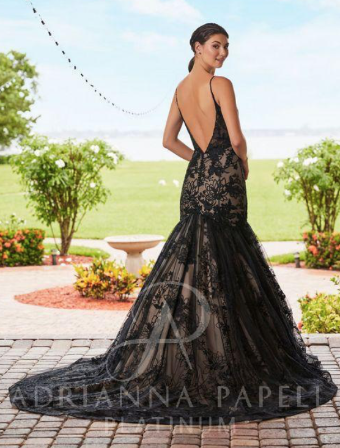 Adrianna Papell Style #31217 #1 Black/Blush/Hazelnut thumbnail