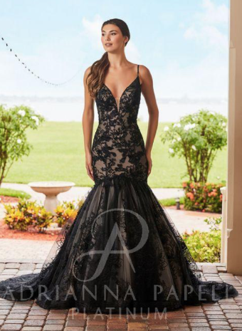 Adrianna Papell Style #31217 #0 default Black/Blush/Hazelnut thumbnail