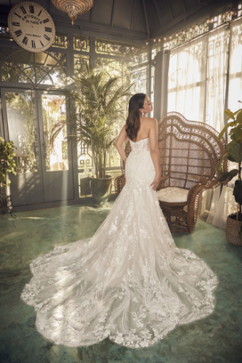 Casablanca Bridal Style #Delaney #5 Ivory/Nude thumbnail