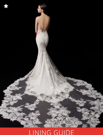 Enzoani Style #Pallas #3 Ivory/Nude thumbnail