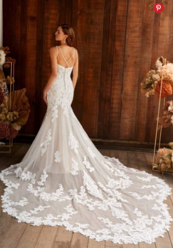 Sophia Tolli Style #Y22264 #1 default Ivory/Champagne thumbnail