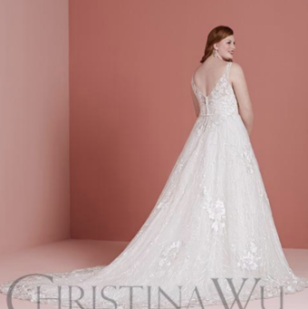 Christina Wu Brides Style #29360 #1 default Ivory/Oyster/Silver thumbnail