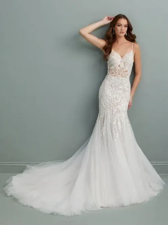 Christina Wu Brides Style #15770 #0 default Ivory/Hazelnut/Nude thumbnail