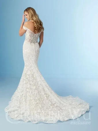 Christina Wu Brides Style #19278 #1 default Ivory/Hazel/Nude thumbnail