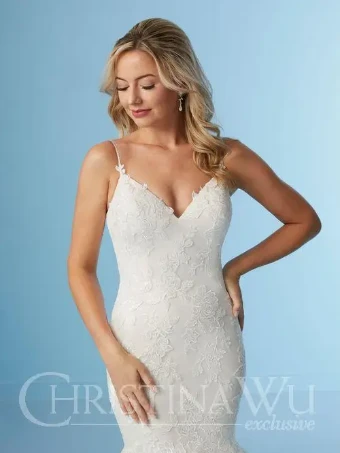 Christina Wu Brides Style #19293 #2 default Ivory/Almond thumbnail