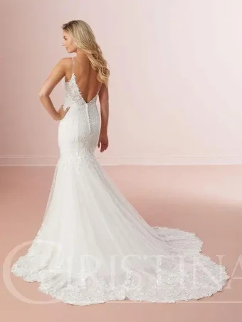 Christina Wu Brides Style #18329 #1 default Ivory/Almond/Nude thumbnail
