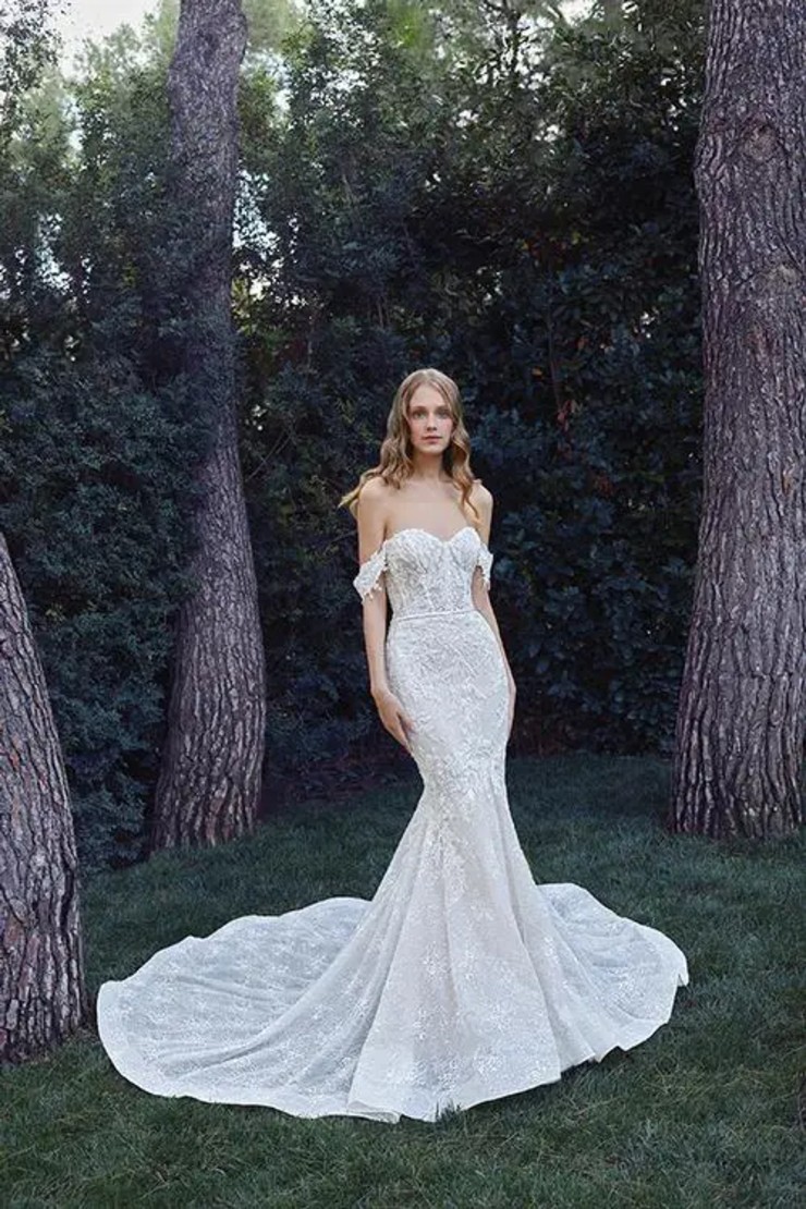 The wedding dress top 2001