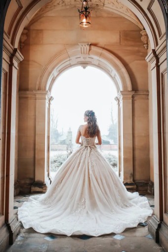 Disney Fairytale Weddings Platinum Collection Style #DP272 - Belle - Allure Disney Platinum #3 Champagne/Nude/Ivory/Silver thumbnail