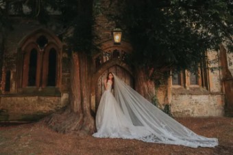 Disney Fairytale Weddings Platinum Collection Style #DP307 - Snow White - Allure Disney Platinum #3 Mocha/Champagne/Ivory thumbnail