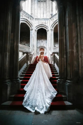 Disney Fairytale Weddings Platinum Collection Style #Aurora - DP301 - Allure Platinum Disney #3 default Champagne/Ivory thumbnail