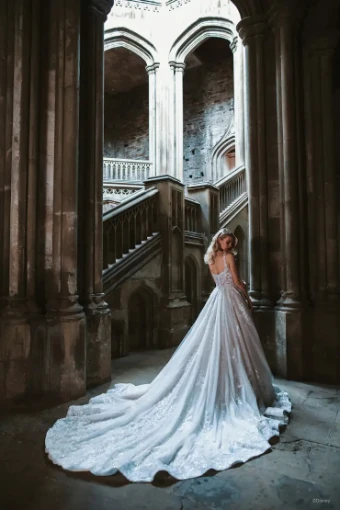 Disney Fairytale Weddings Platinum Collection Style #Aurora - DP301 - Allure Platinum Disney #1 Champagne/Ivory thumbnail