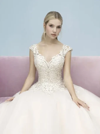 Allure Bridals Style #9606 #2 Champagne/Ivory/Silver thumbnail