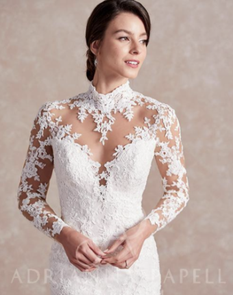 Adrianna Papell Style #31177 #3 Ivory/Almond/Nude thumbnail