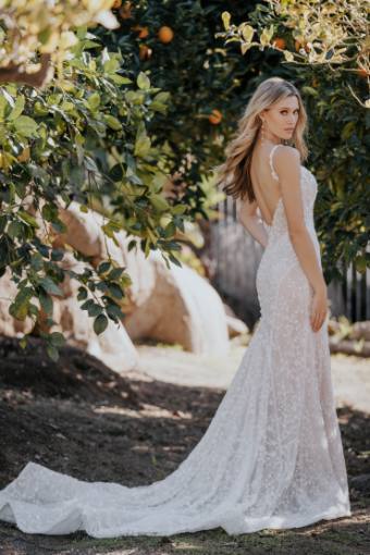 Allure Bridals Style #A1154 #1 Nude/Champagne/Ivory thumbnail
