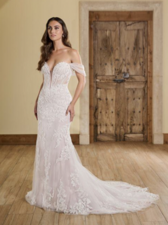 Christina Wu Brides Style #19362 #0 default Ivory/French Lilac thumbnail