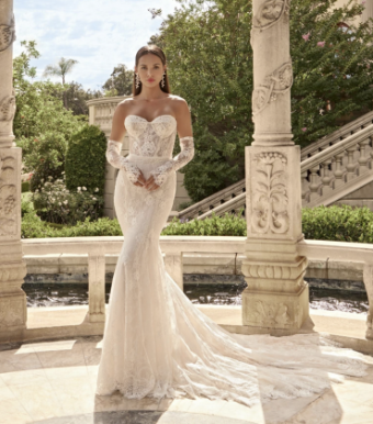 Casablanca Bridal Style #Augustina #0 default Ivory/Sorbet/Nude/Ivory/Silver thumbnail