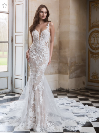 Elysee by Enzoani Style #Raveena #0 default Ivory/Hazel/Nude thumbnail