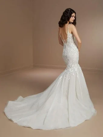 Christina Wu Brides Style #15863 #1 default Ivory/Hazelnut/Nude thumbnail