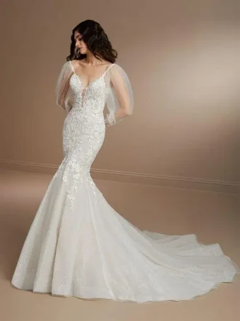 Christina Wu Brides Style #15863 #0 default Ivory/Hazelnut/Nude thumbnail