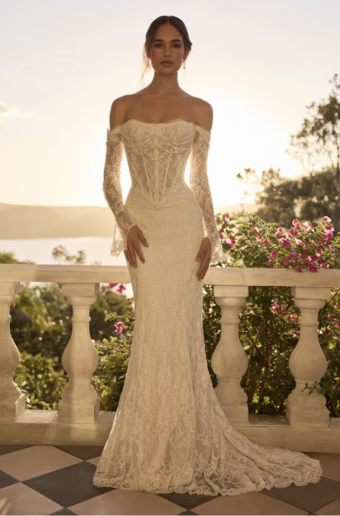 Sophia Tolli Style #Constance #0 default Ivory/Soft Blush thumbnail